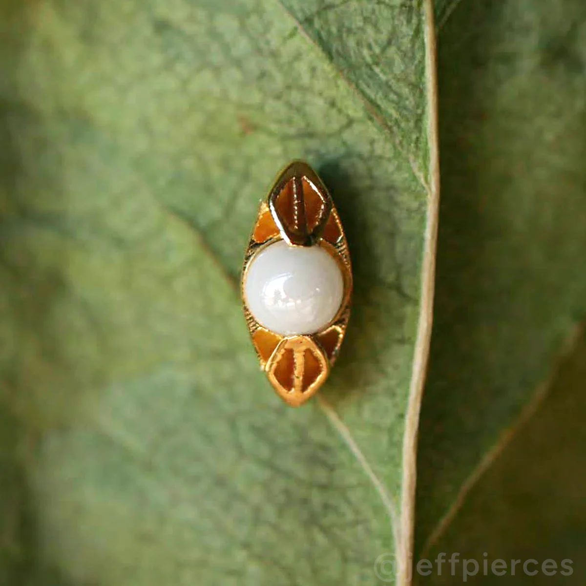 CeraPearl Cilia - Image 3