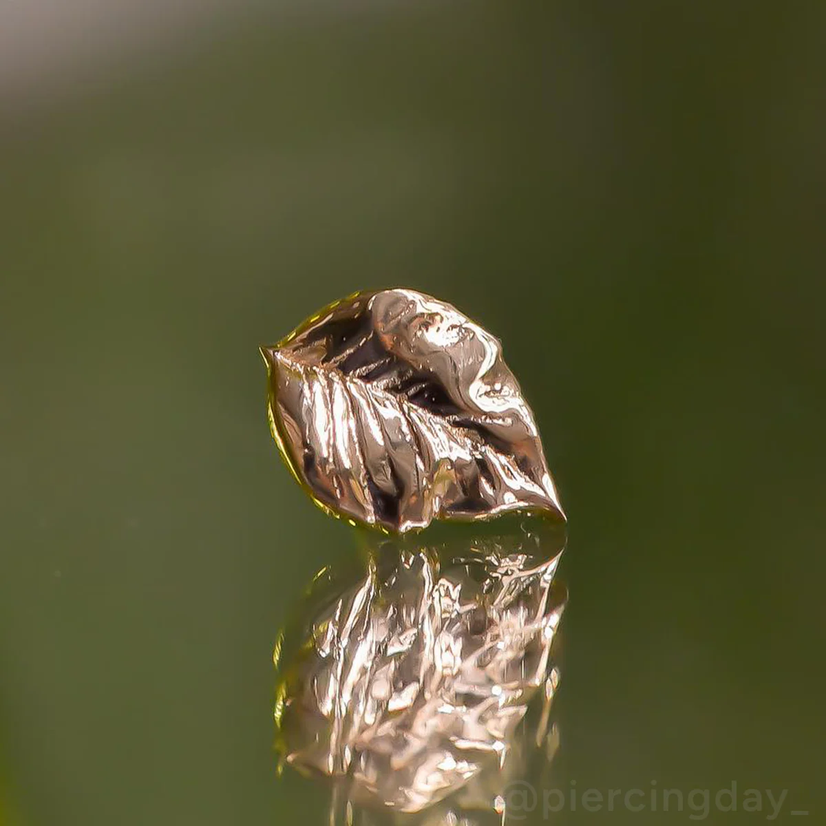 Leaf 1A End - Image 4