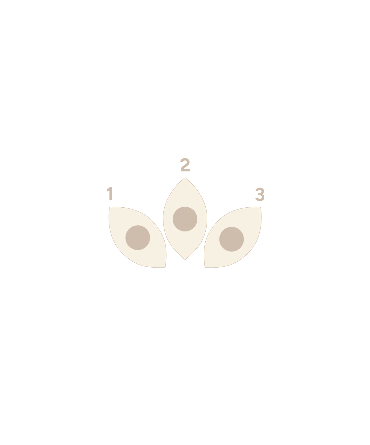 Noble Fan - Image 3